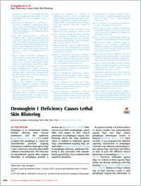 Full-text