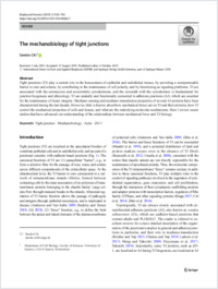 Full-text