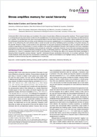 Full-text