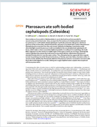 Full-text