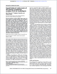 Full-text
