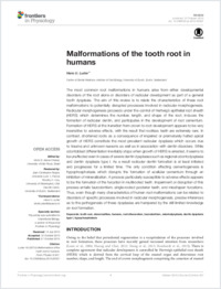 Full-text