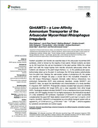 Full-text