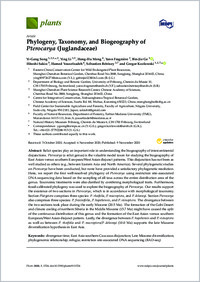 Full-text