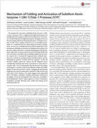 Full-text