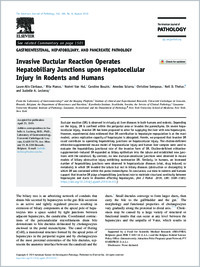 Full-text