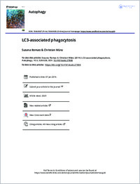 Full-text