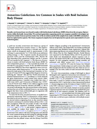 Full-text