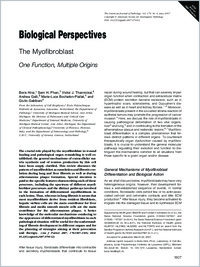 Full-text