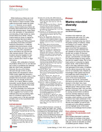 Full-text