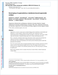 Full-text