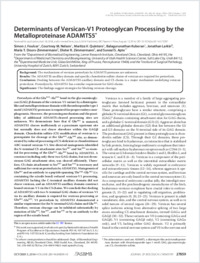 Full-text