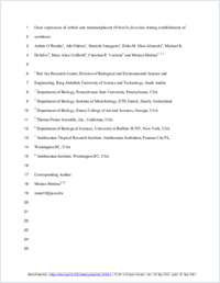 Full-text