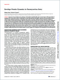 Full-text