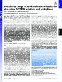 Full-text