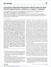 Full-text