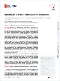 Full-text