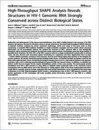 High-Throughput SHAPE Analysis Reveals Structures in HIV-1 Genomic RNA  Strongly Conserved across Distinct Biological States