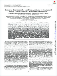 Full-text