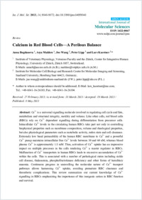 Full-text