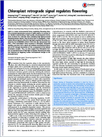 Full-text