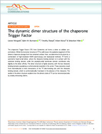Full-text