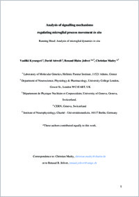 Full-text