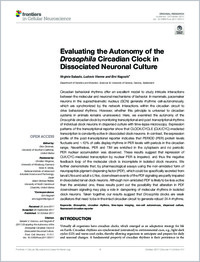 Full-text
