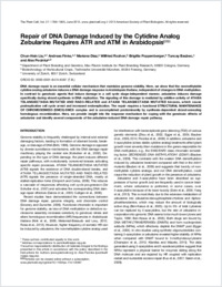 Full-text