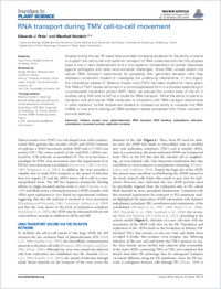 Full-text