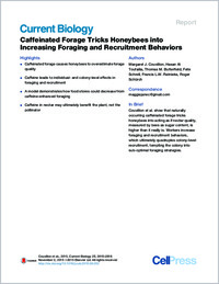 Full-text