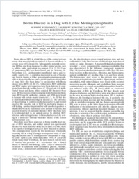 Full-text