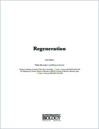 Full-text