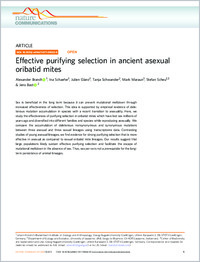 Full-text