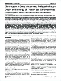 Full-text