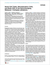 Full-text