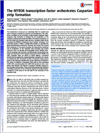 Full-text