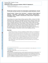 Full-text