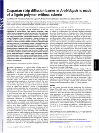 Full-text