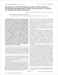 Full-text