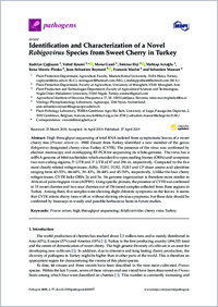 Full-text