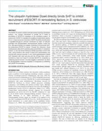 Full-text