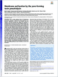 Full-text