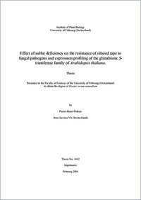 Texte intégral