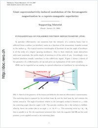 Supplementary material