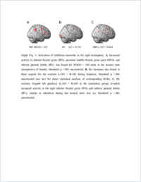 Supplementary material