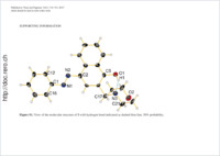 Supplementary material