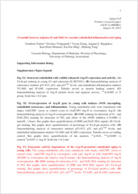 Supplementary material