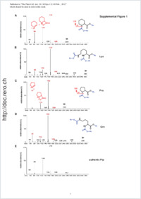 Supplementary material