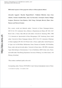 pdf